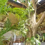 Happiness Boutique Resort El Nido