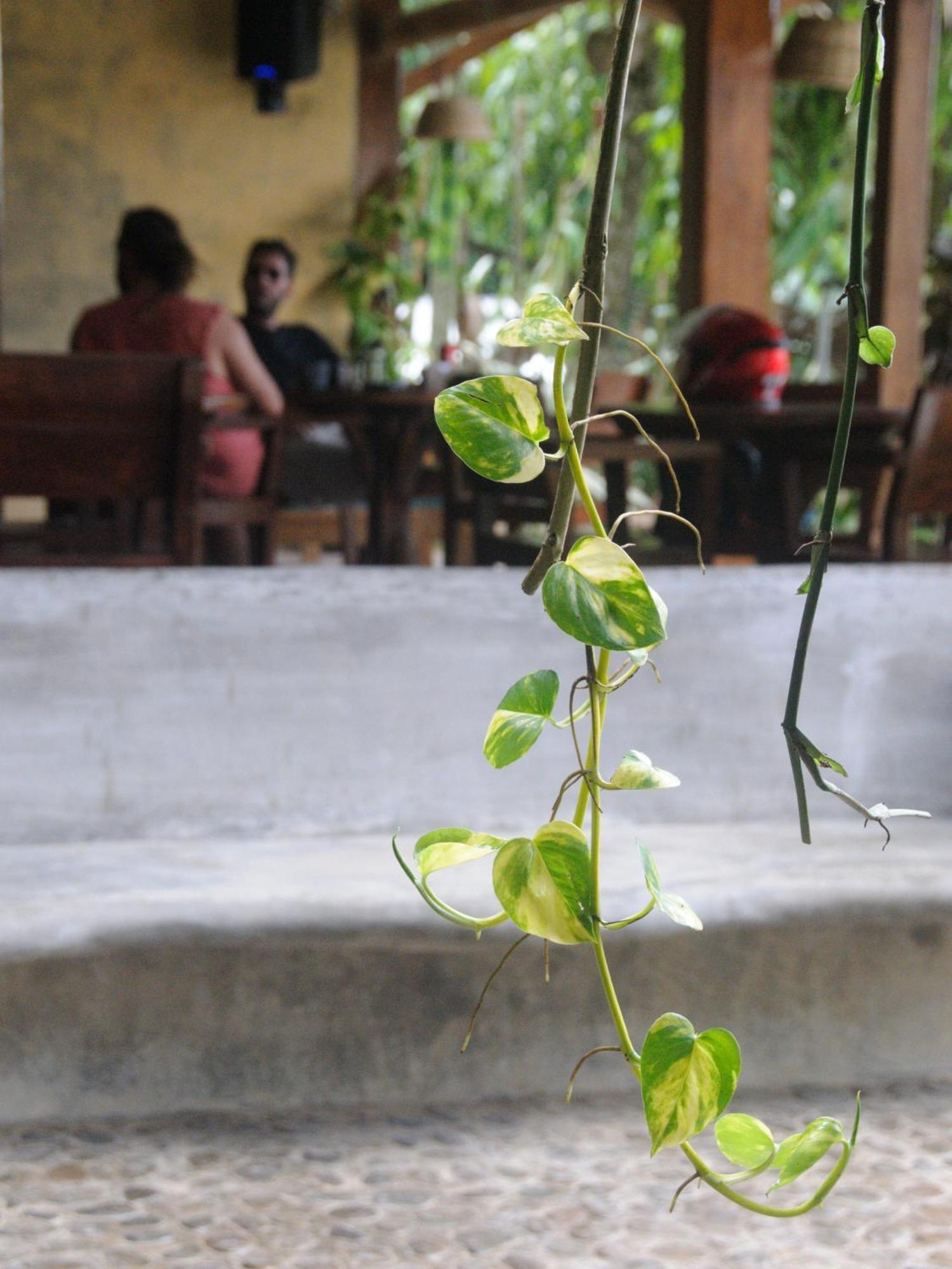 Happiness Boutique Hotel El Nido