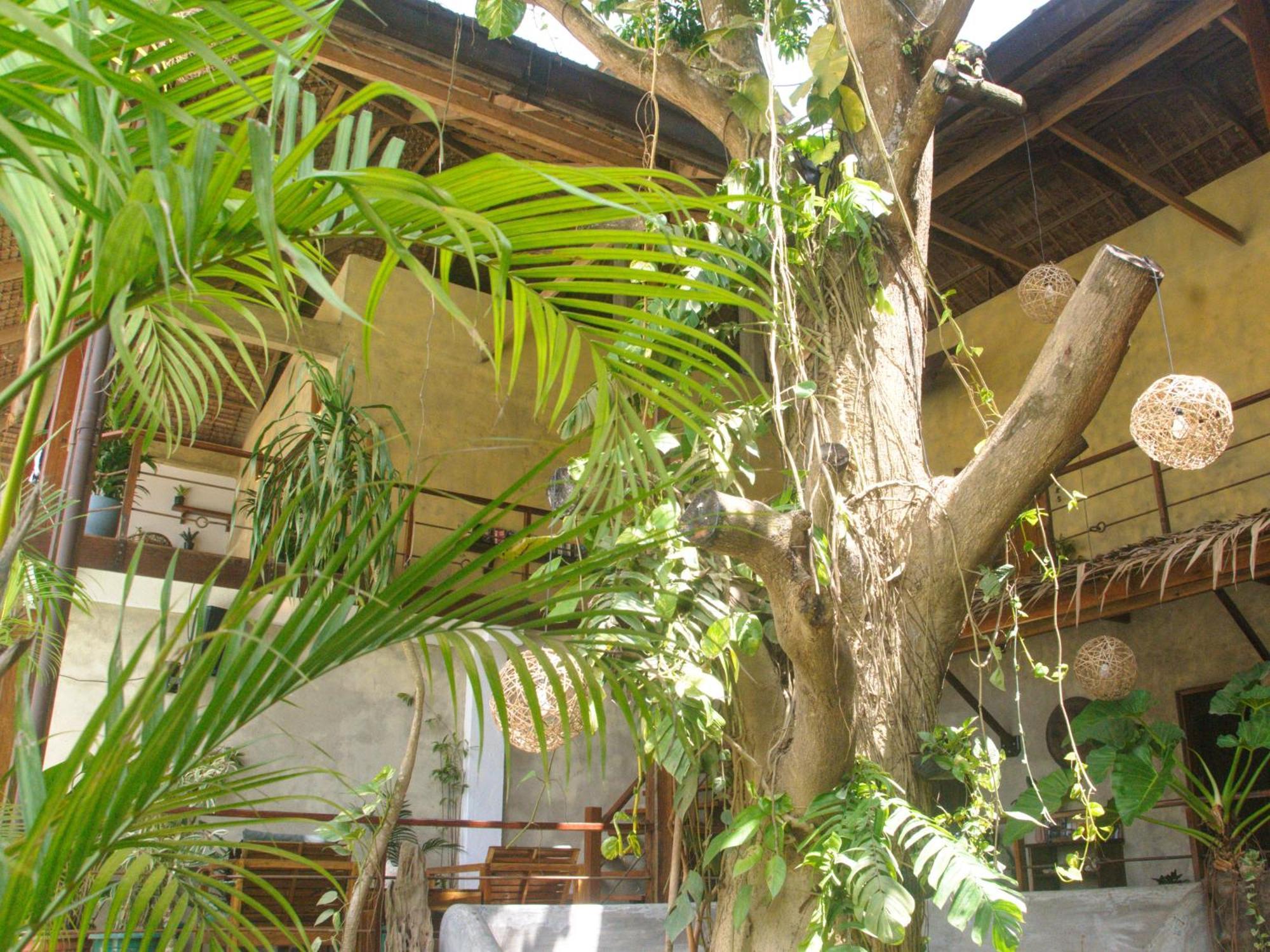 Happiness Boutique 2* El Nido