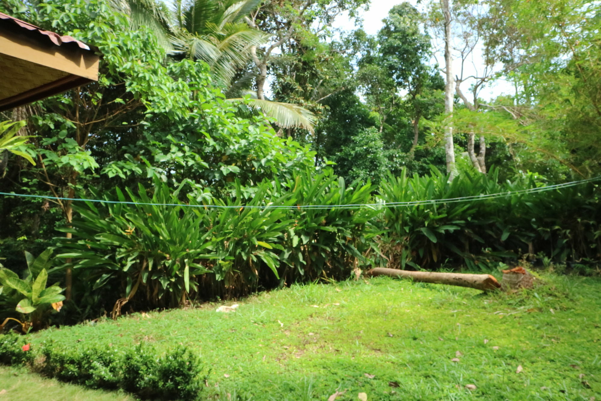 Hotel Israel Ecopark 2*