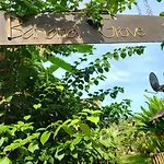Banana Grove El Nido
