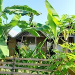 Banana Grove El Nido