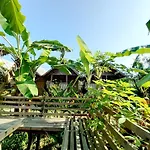 Banana Grove El Nido