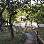 Ced Garden