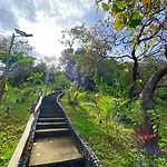Ced Garden