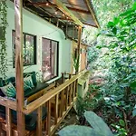 Jungle View Studio With Terrace