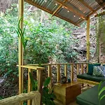 Jungle View Studio With Terrace
