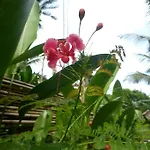 El Nido, Lugadia, Concrete House With Small Garden