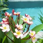 Orchids Villa Elnido