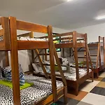 Aquaholik Bunk Bed