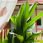 Balili Farm At Nacpan