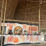 Isla - The Island Experience