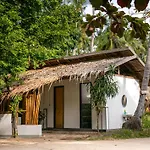 Isla - The Island Experience
