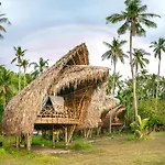 Isla - The Island Experience