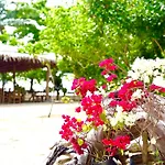 Dosplaya Ecocamp