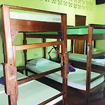 Elternative Hostel