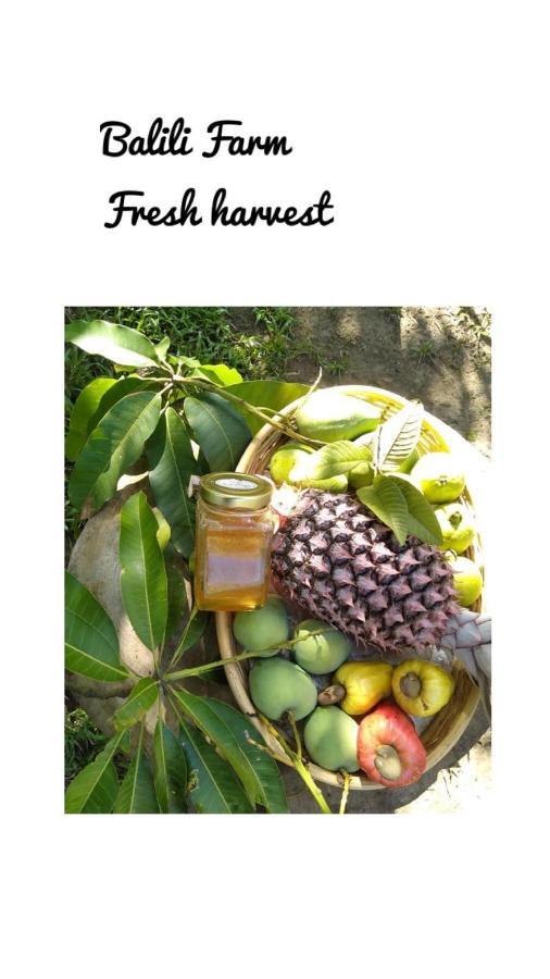 Balili Farm At Nacpan Bed & Breakfast 2*