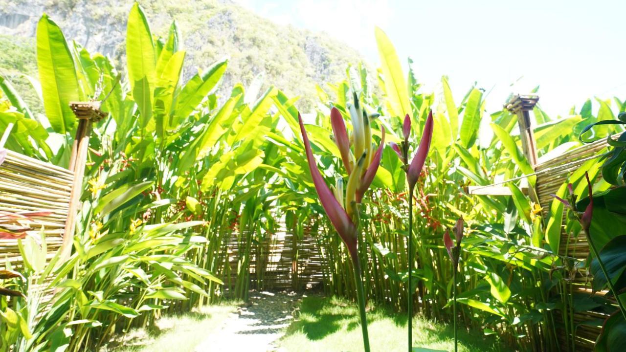Focus El Nido
