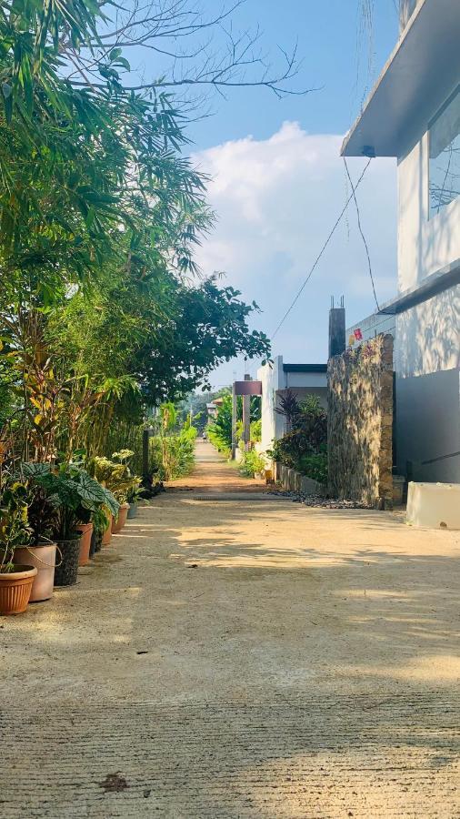 Hidden Of Cailan *