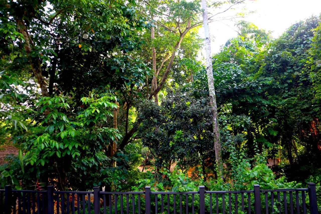 Lihim Resort 5*