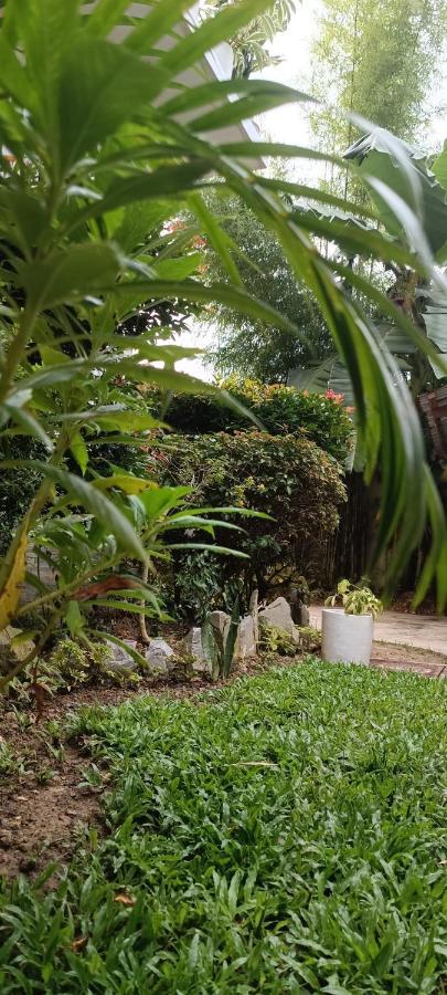 Layang Layang Bed & Breakfast