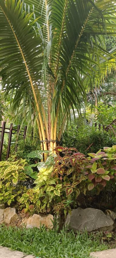 Layang Layang Bed & Breakfast El Nido