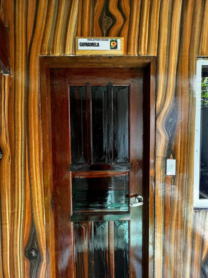 Balay Paragua