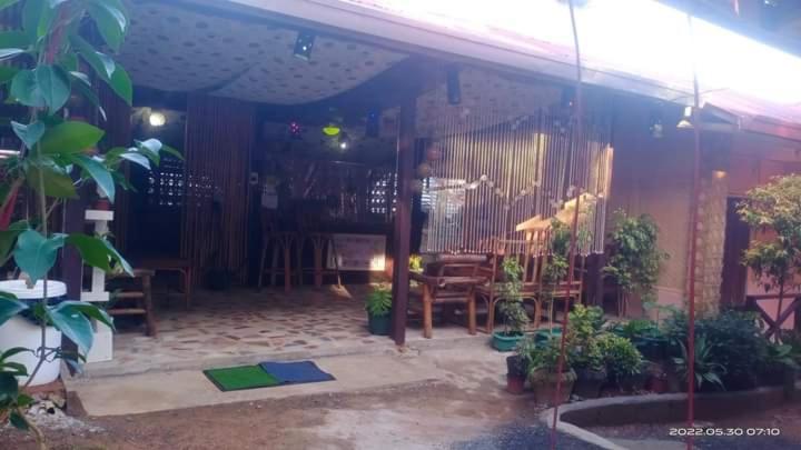 Bed & Breakfast Forest