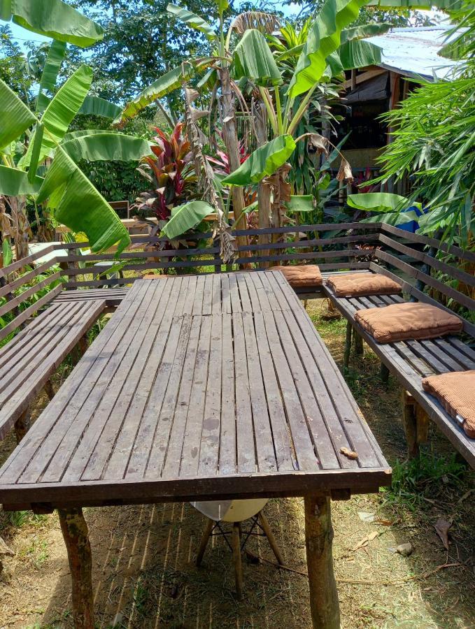 Banana Grove *