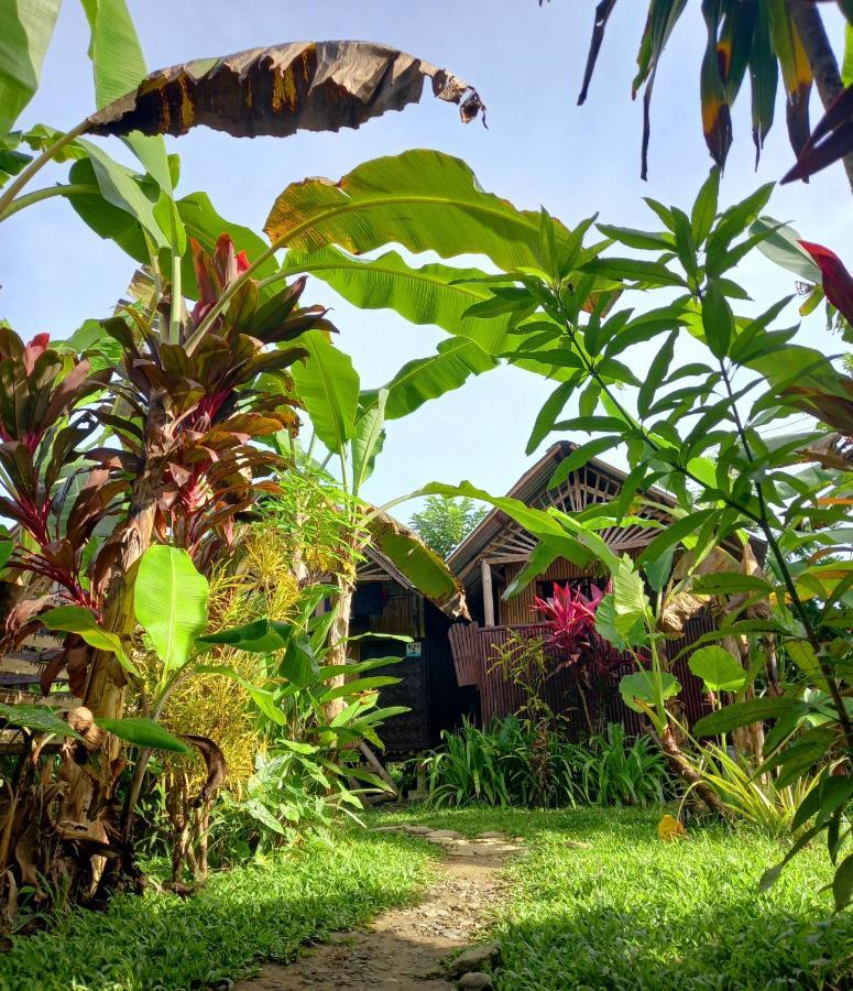 bahay-panuluyan Banana Grove *