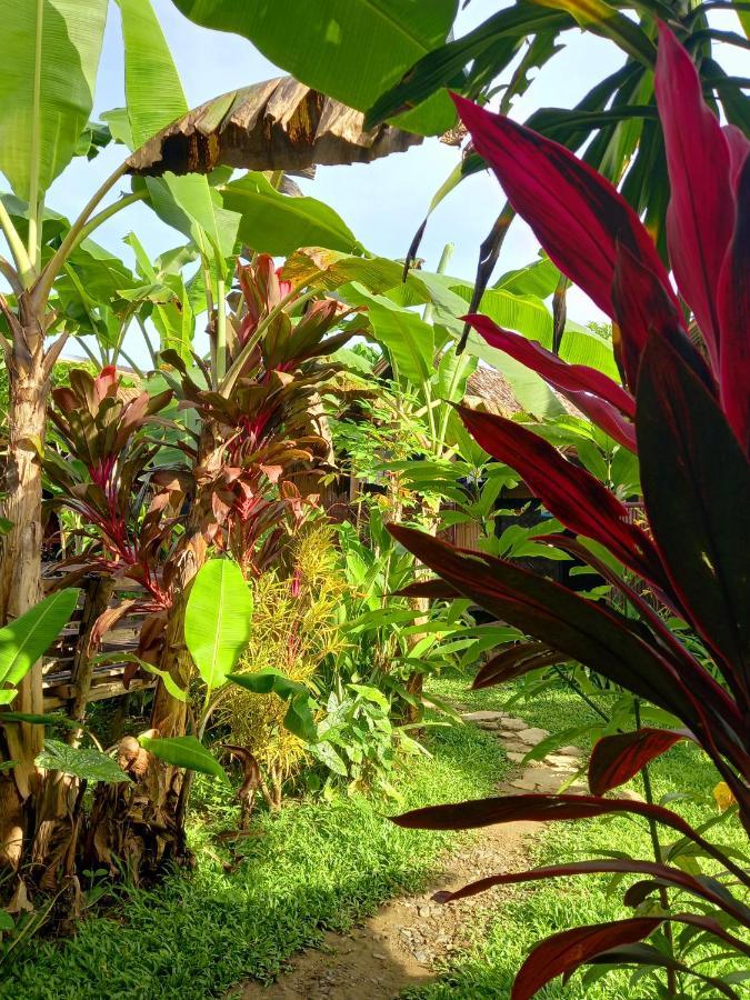 Banana Grove bahay-panuluyan