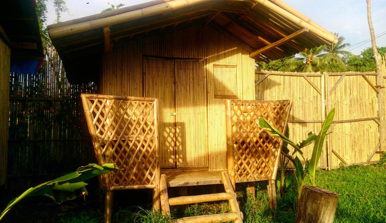 Banana Grove *