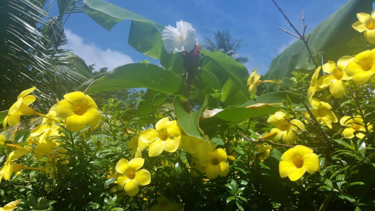 Banana Grove bahay-panuluyan El Nido