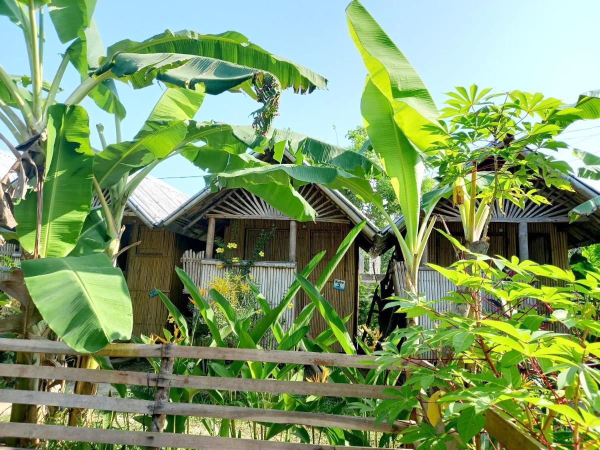 bahay-panuluyan Banana Grove El Nido
