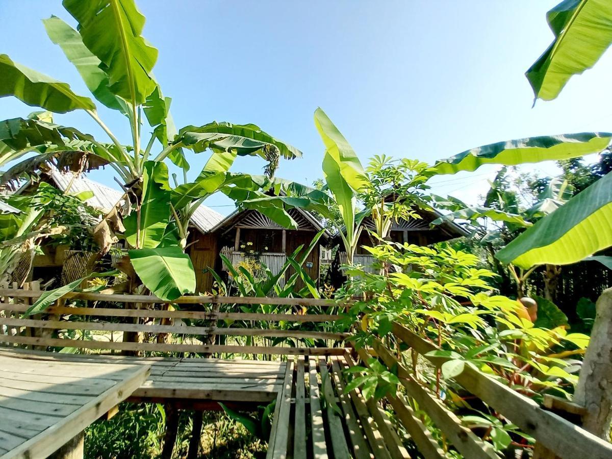 Banana Grove