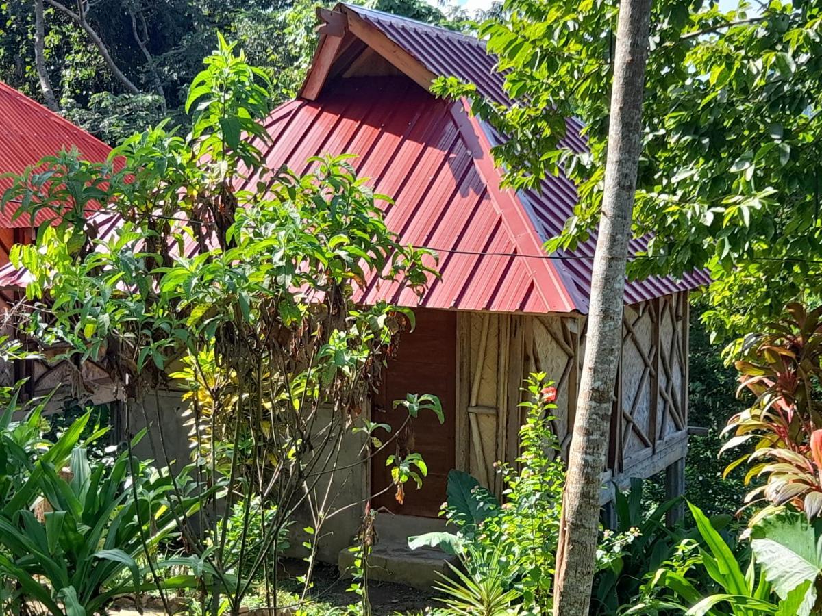 Erlittop Nature * El Nido