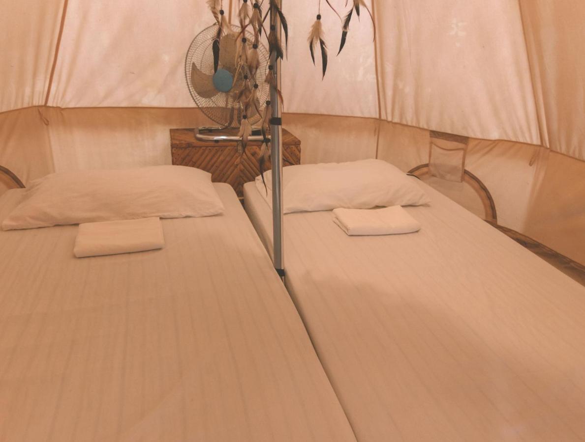 Mad Monkey Nacpan (adults Only)
