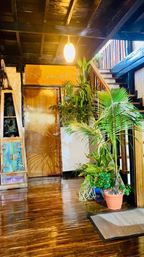 Apartment Hidden Of Cailan Extension Day Off El Nido