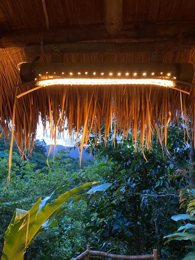 Inigtan Lio Bamboo *