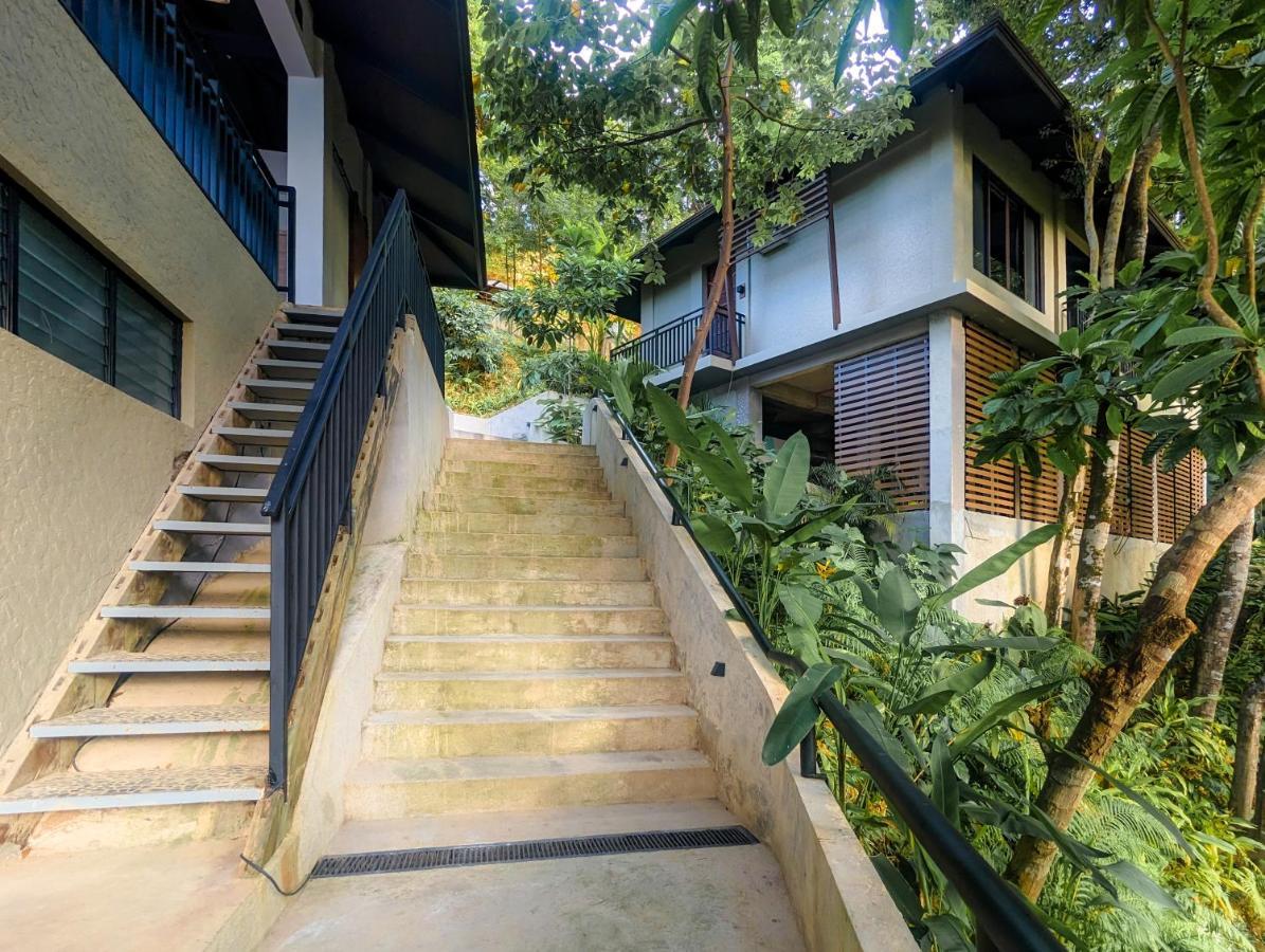 Villa Perch El Nido's Seaview Overlooking Marimegmeg