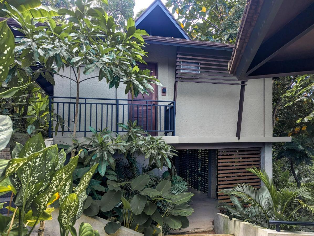 Villa Perch El Nido's Seaview Overlooking Marimegmeg