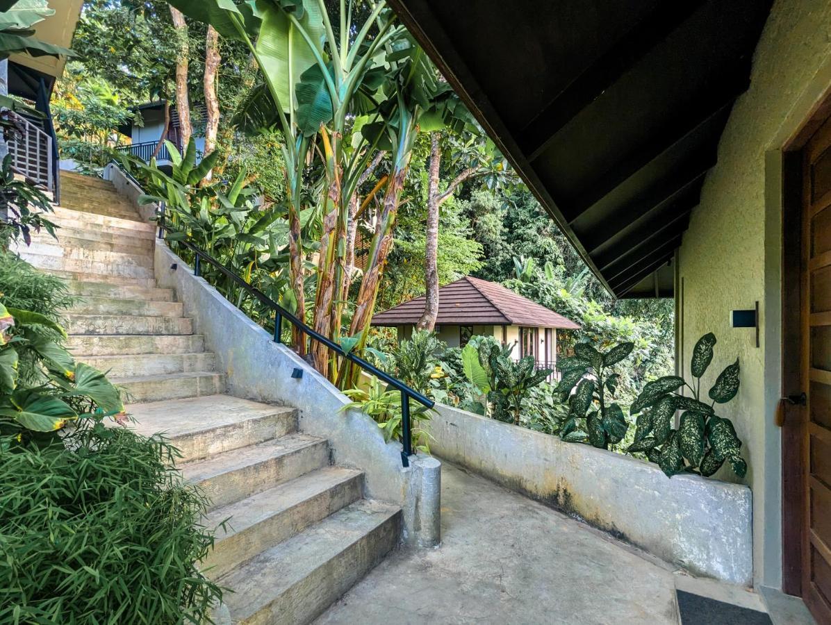 Villa Perch El Nido's Seaview Overlooking Marimegmeg
