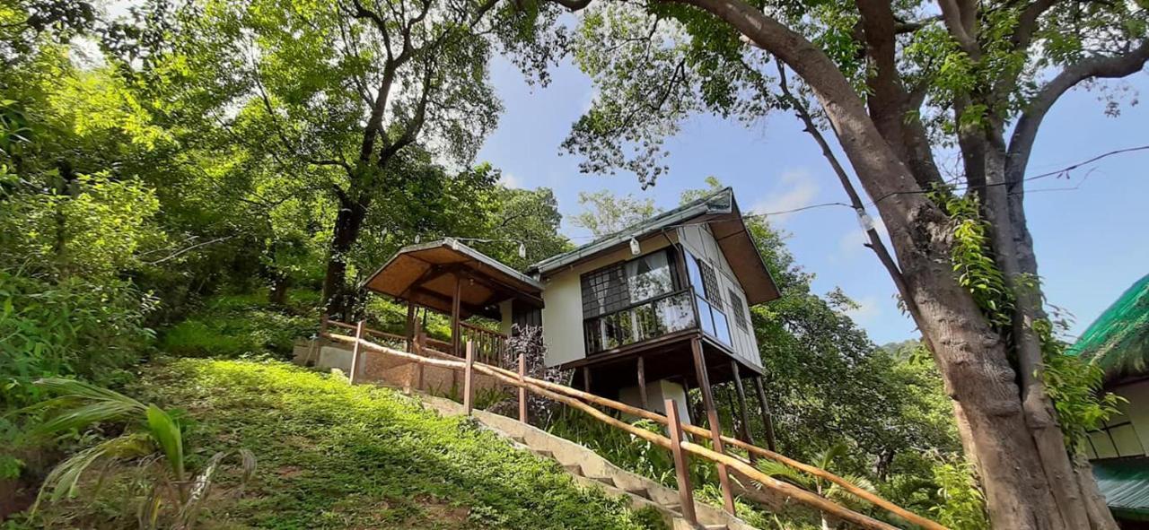 Ced Garden Guest house *