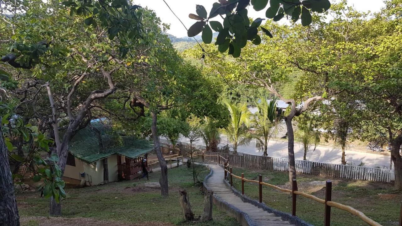 Ced Garden *