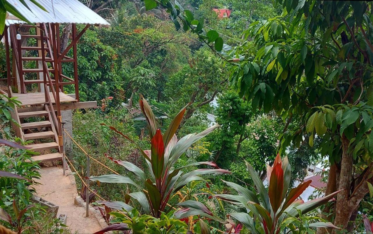 Balecabugaocottagesrental Bed & Breakfast
