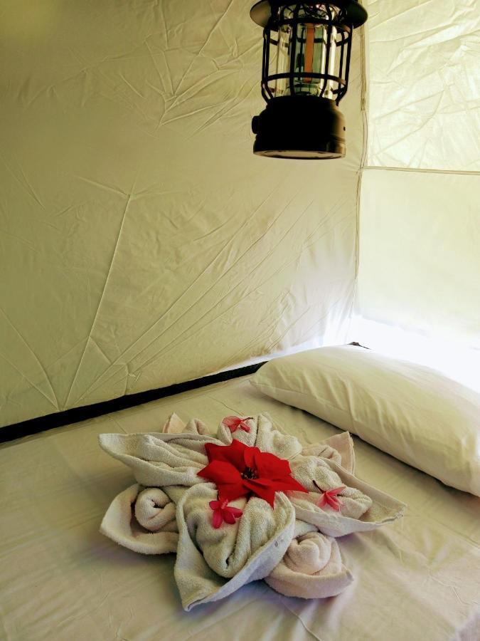 Campsite Akoya Sunset Camp *