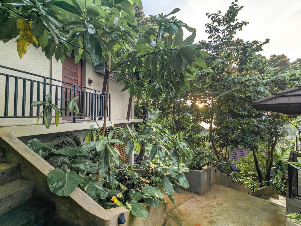 Perch El Nido's Seaview Overlooking Marimegmeg Villa