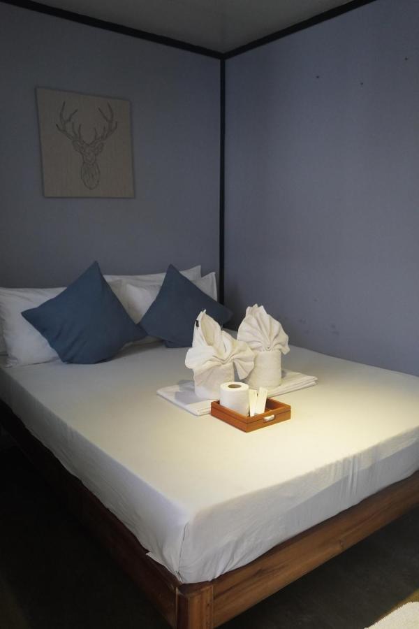 Keira Backpackers 3*