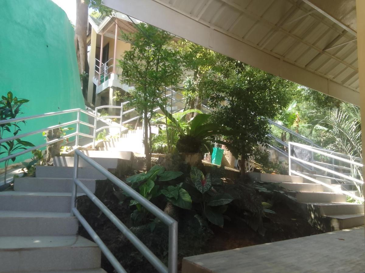 Woodland * El Nido