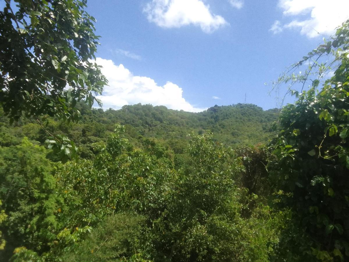 Locanda Woodland El Nido